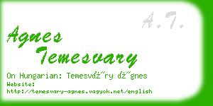 agnes temesvary business card